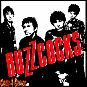 Buzzcocks Screened Canvas Back Patch